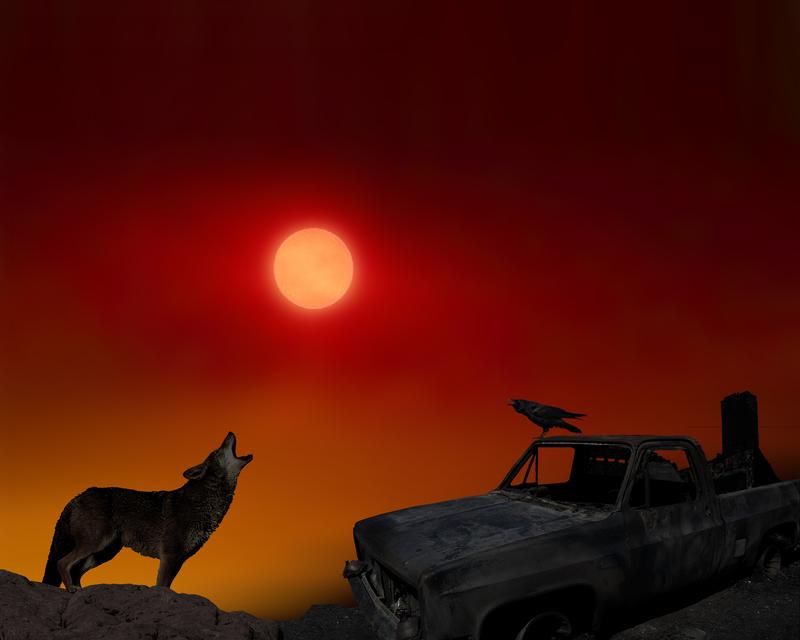 Coyote And Raven Cry Out 5x4