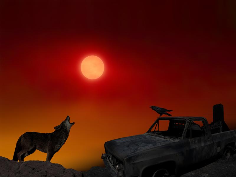 Coyote And Raven Cry Out 4x3