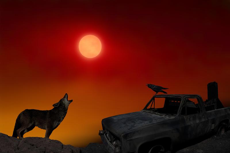 Coyote And Raven Cry Out 3x2