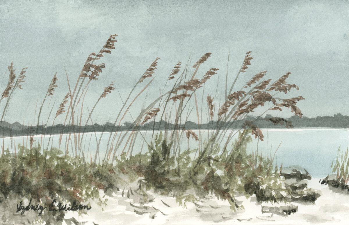 Sea Oats