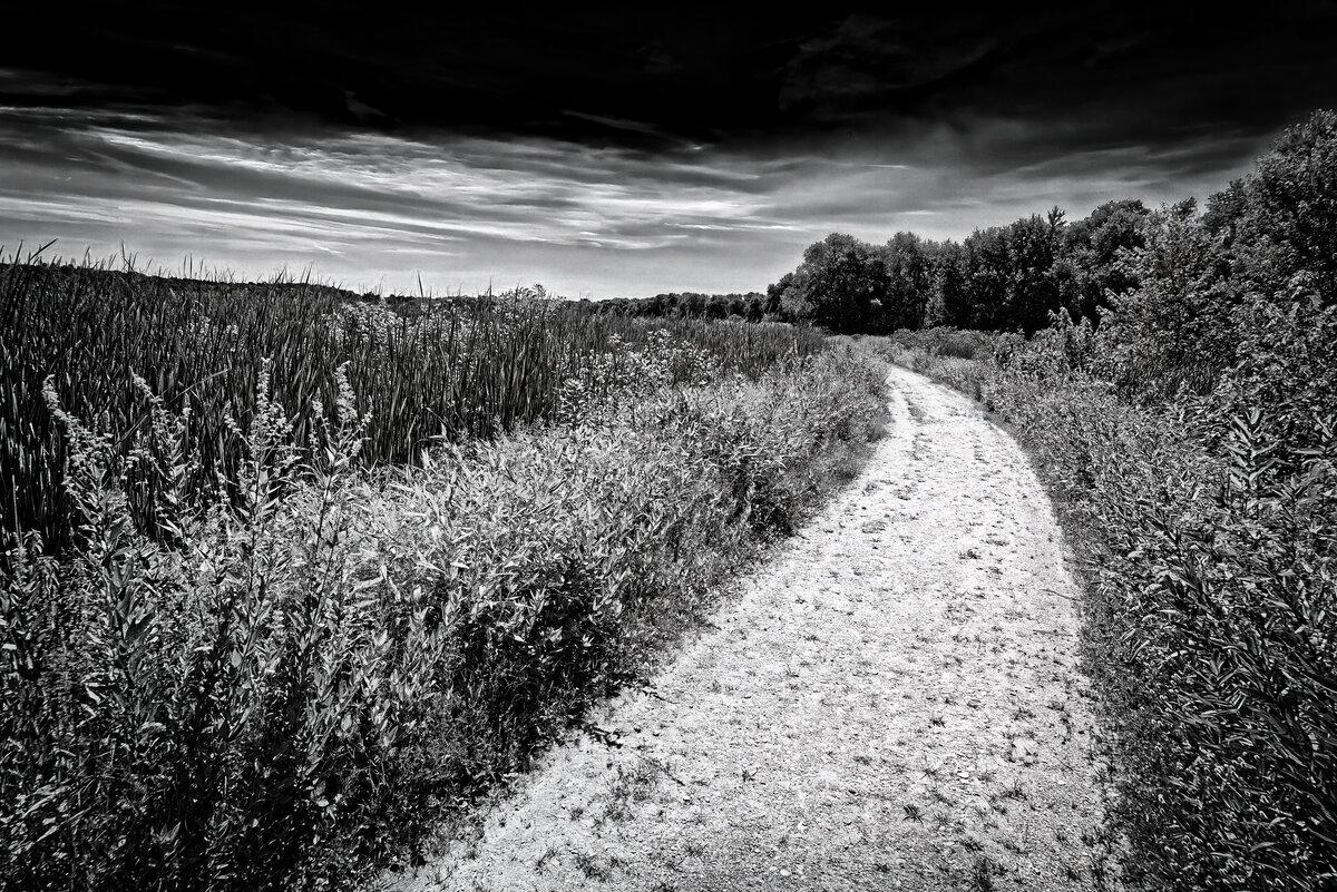 The Path Through Great Meadows