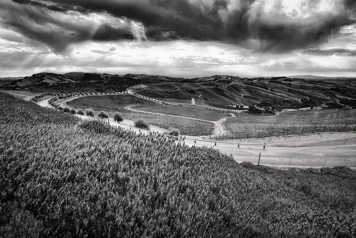 Tonal Terraces: Paso Robles Vineyard Study