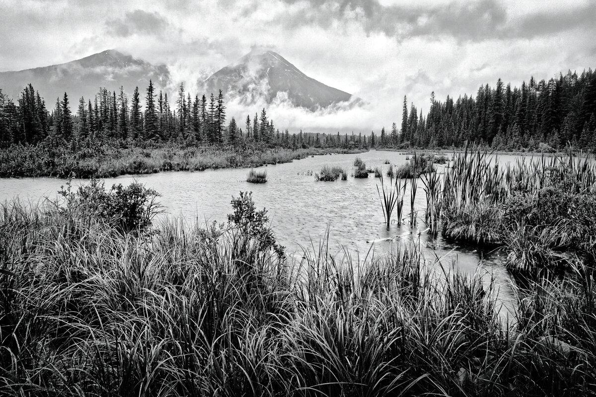 Misty Solitude: Vermilion Lakes