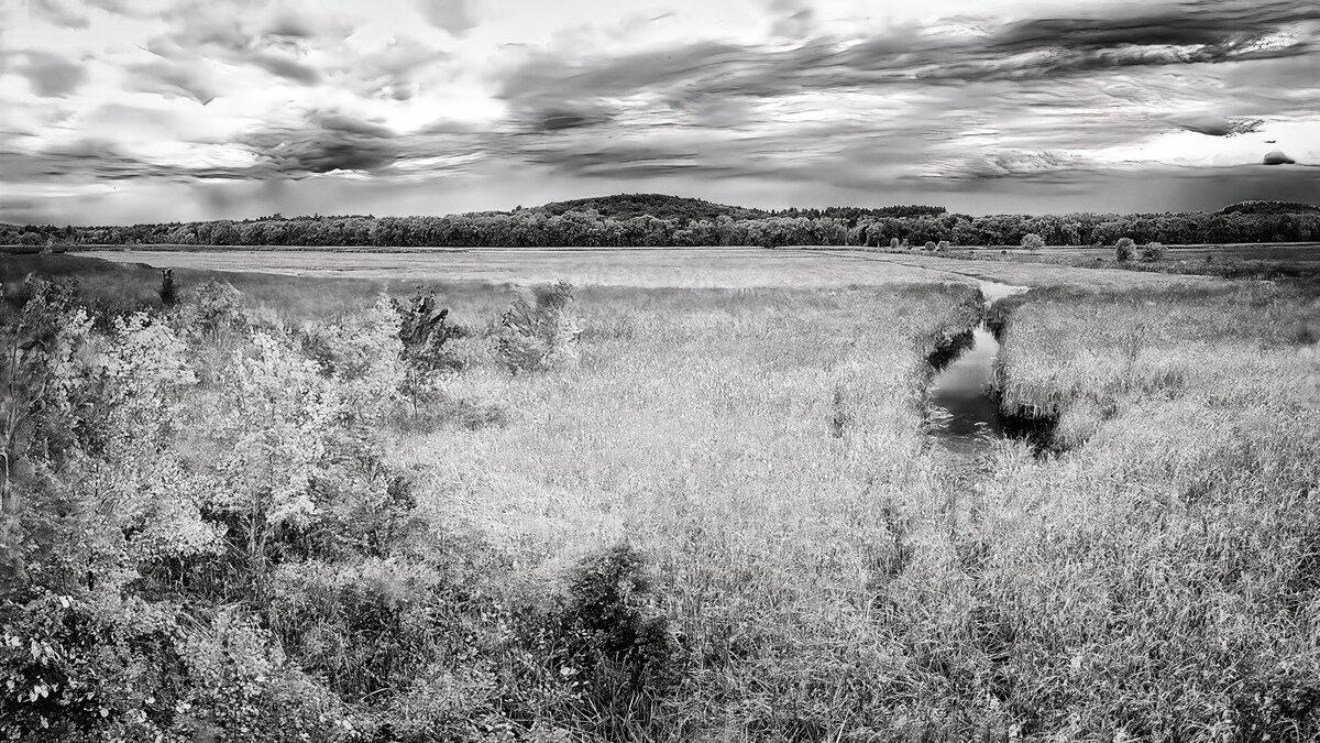 Great Meadows: Sky and Marsh