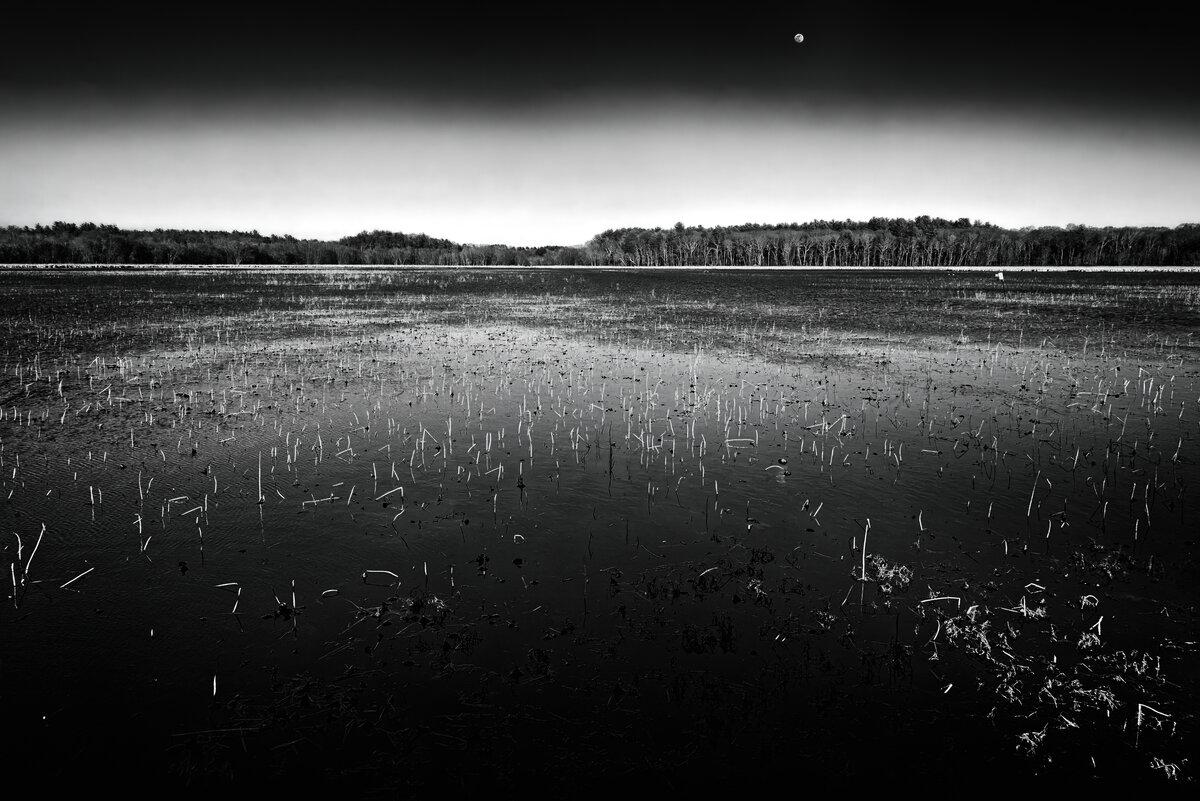 Winter Horizon: Great Meadows in February