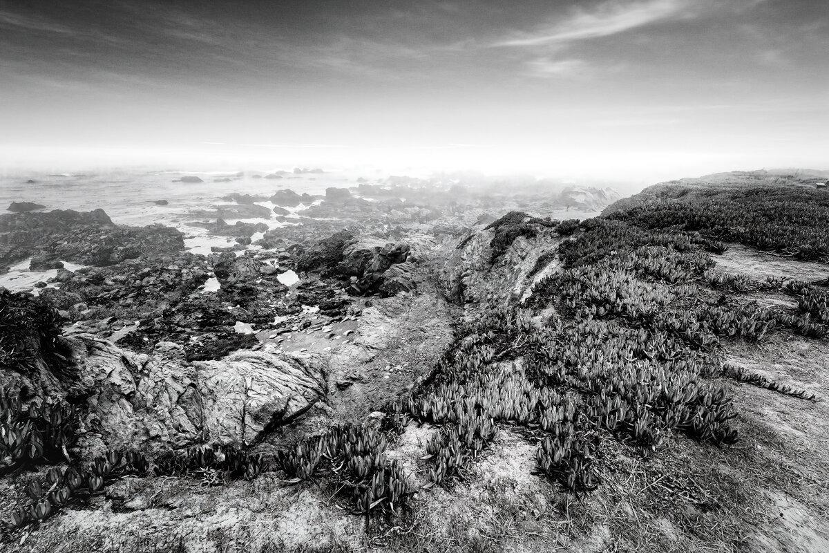 Coastal Convergence: Dissolving Fog at Cambria