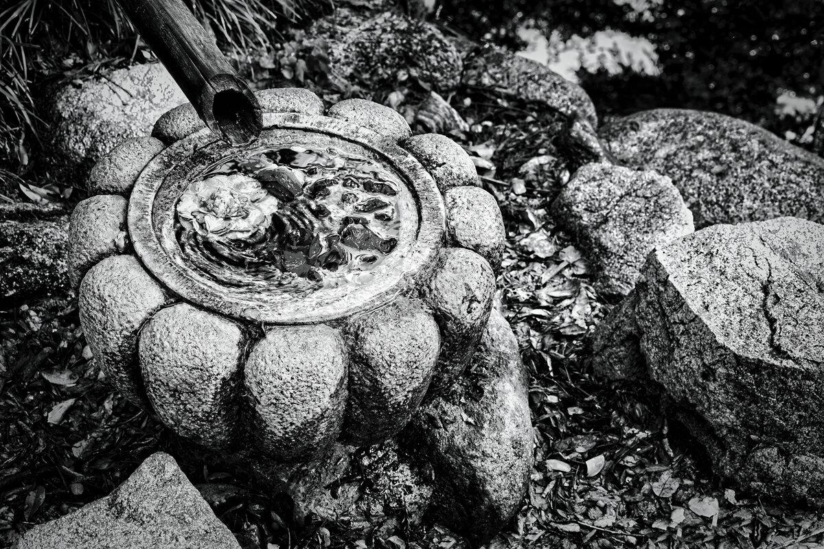 Zen Reflection: Tsukubai Water Basin