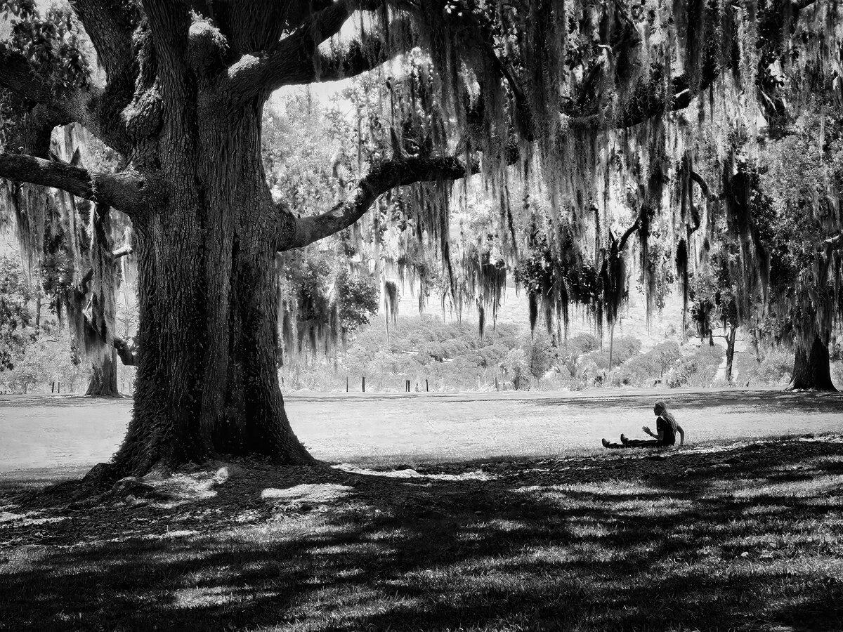 Under the Sentinel’s Shade