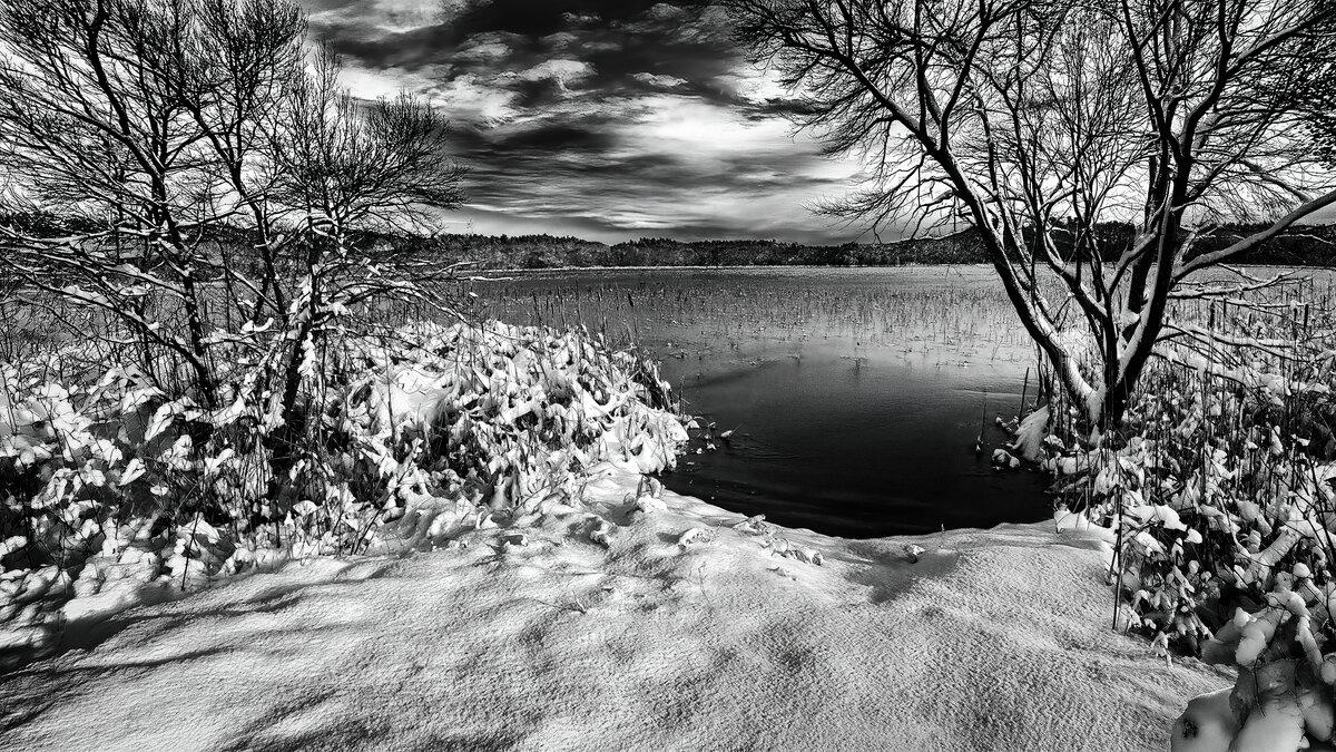 Winter’s Edge: Great Meadows Panorama