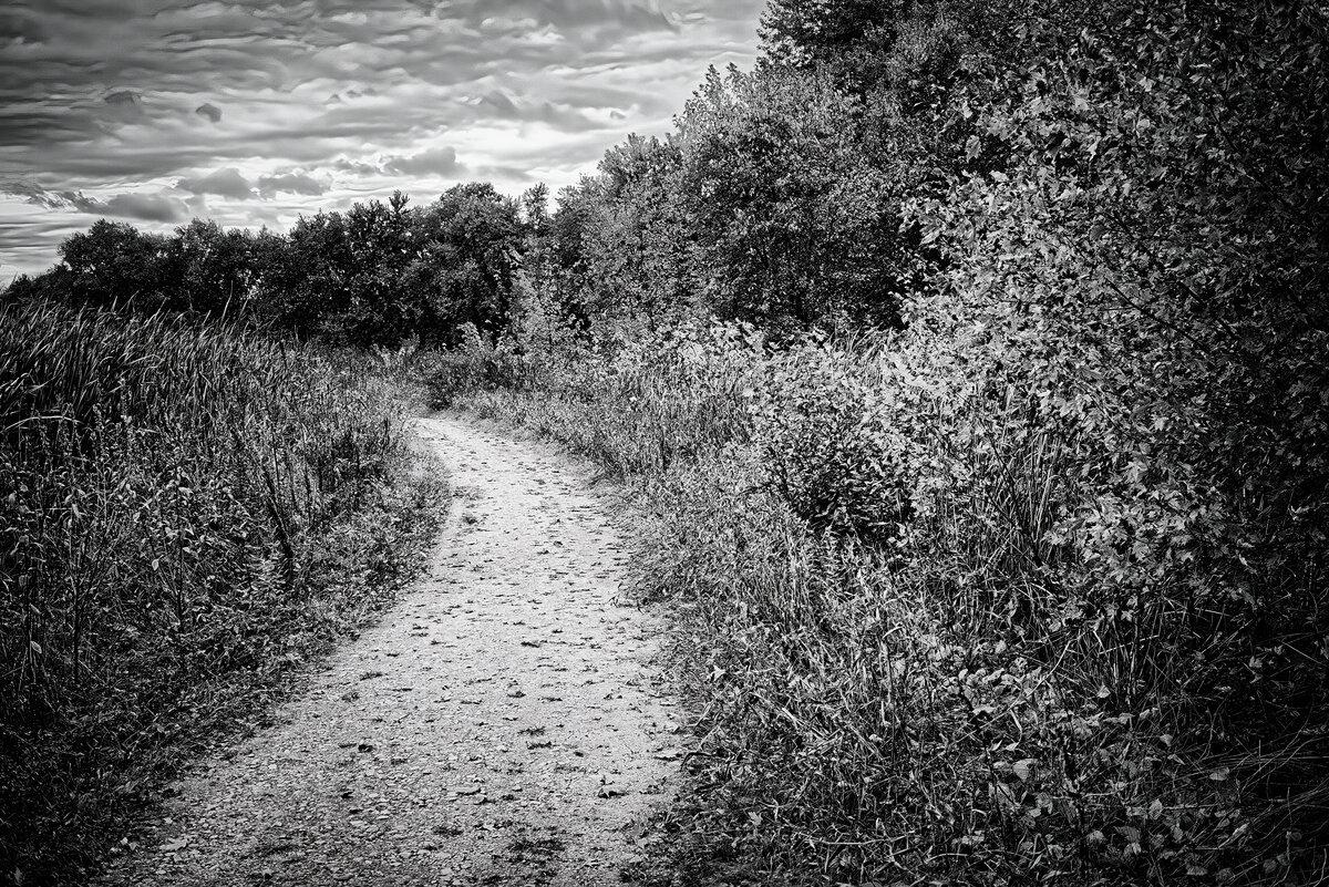 Autumn Dike Trail: Great Meadows Sanctuary