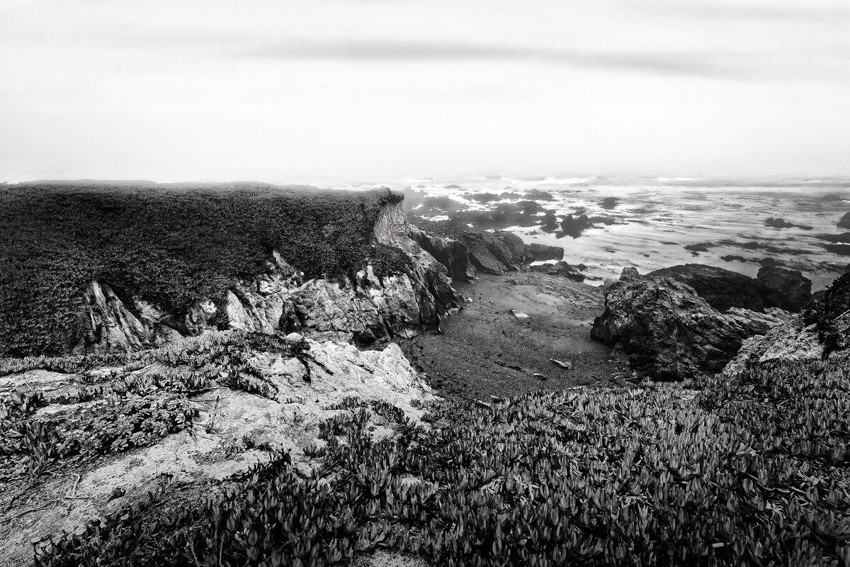 Coastal Bluff: Marine Layer at Cambria