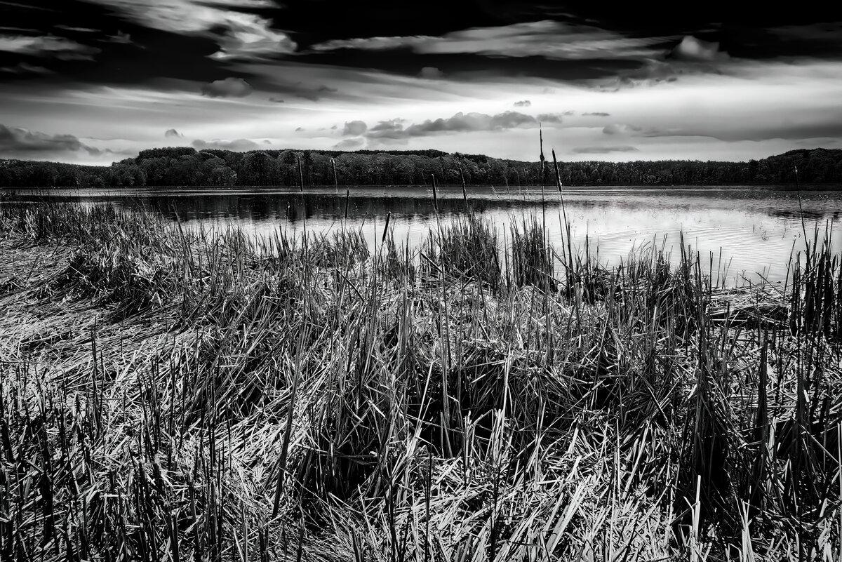 Shadow and Light at Great Meadows