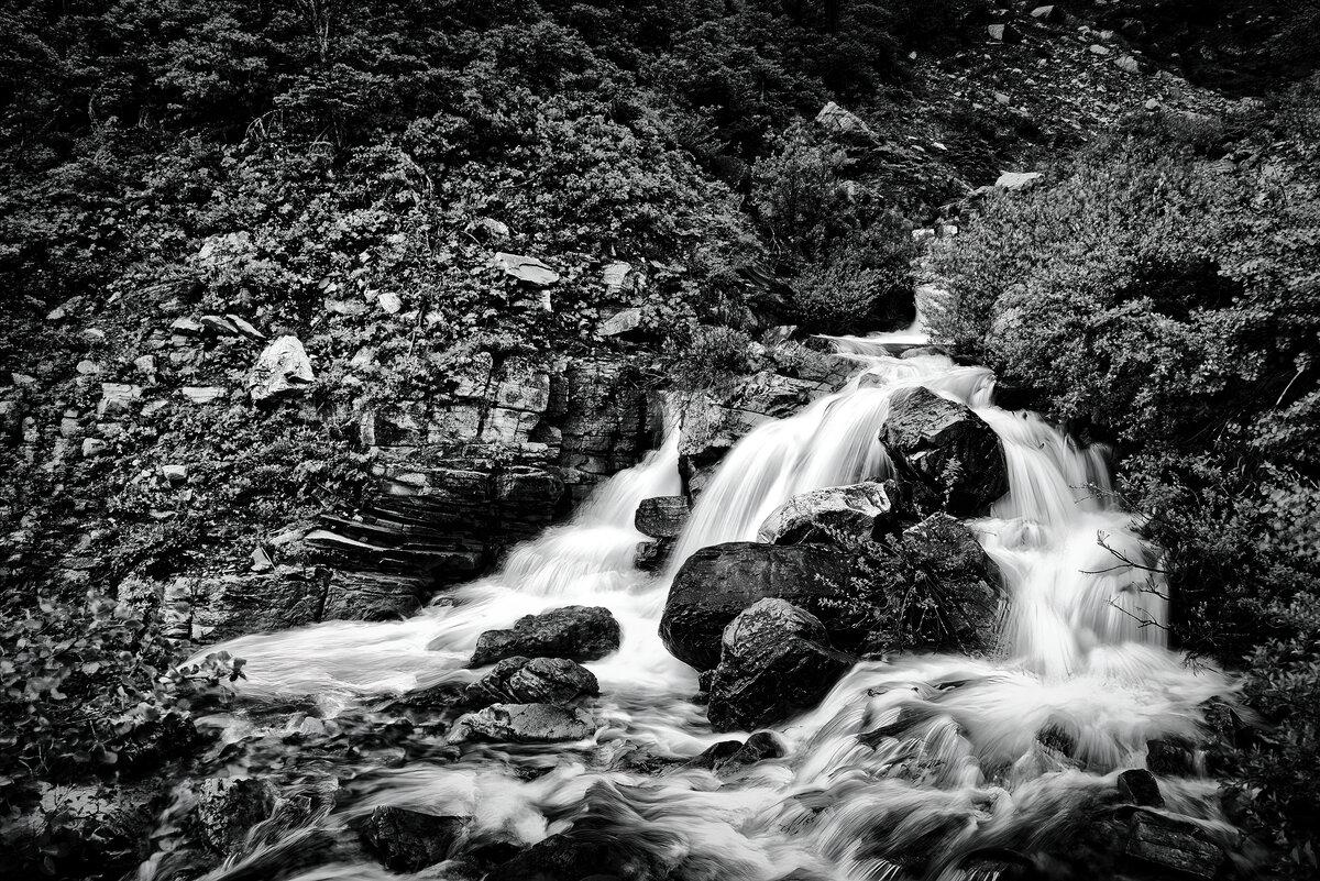 Glacier Torrent: Lower Apikuni Falls