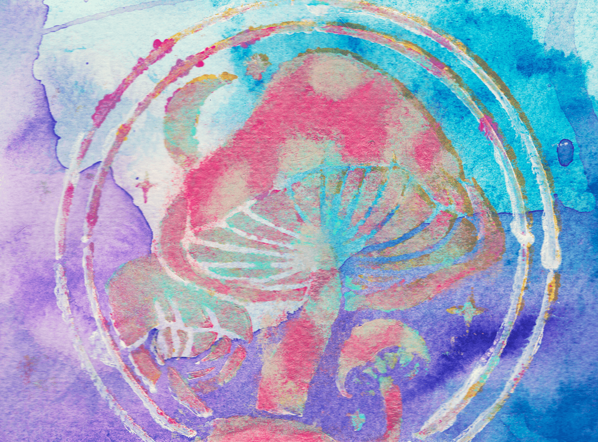 Magice Mushroom - Mixed Media