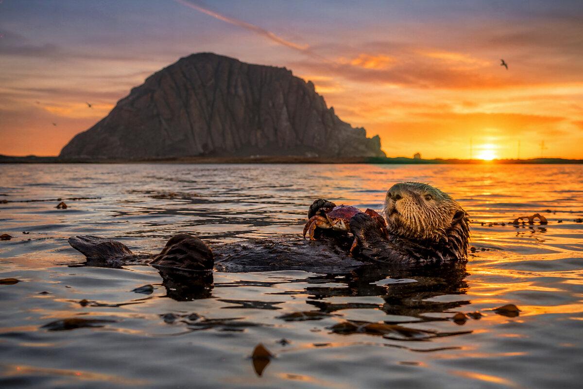 Morro Bay