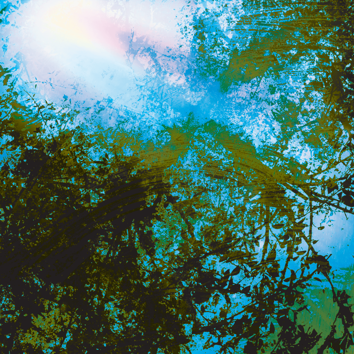 Prismatic Canopy
