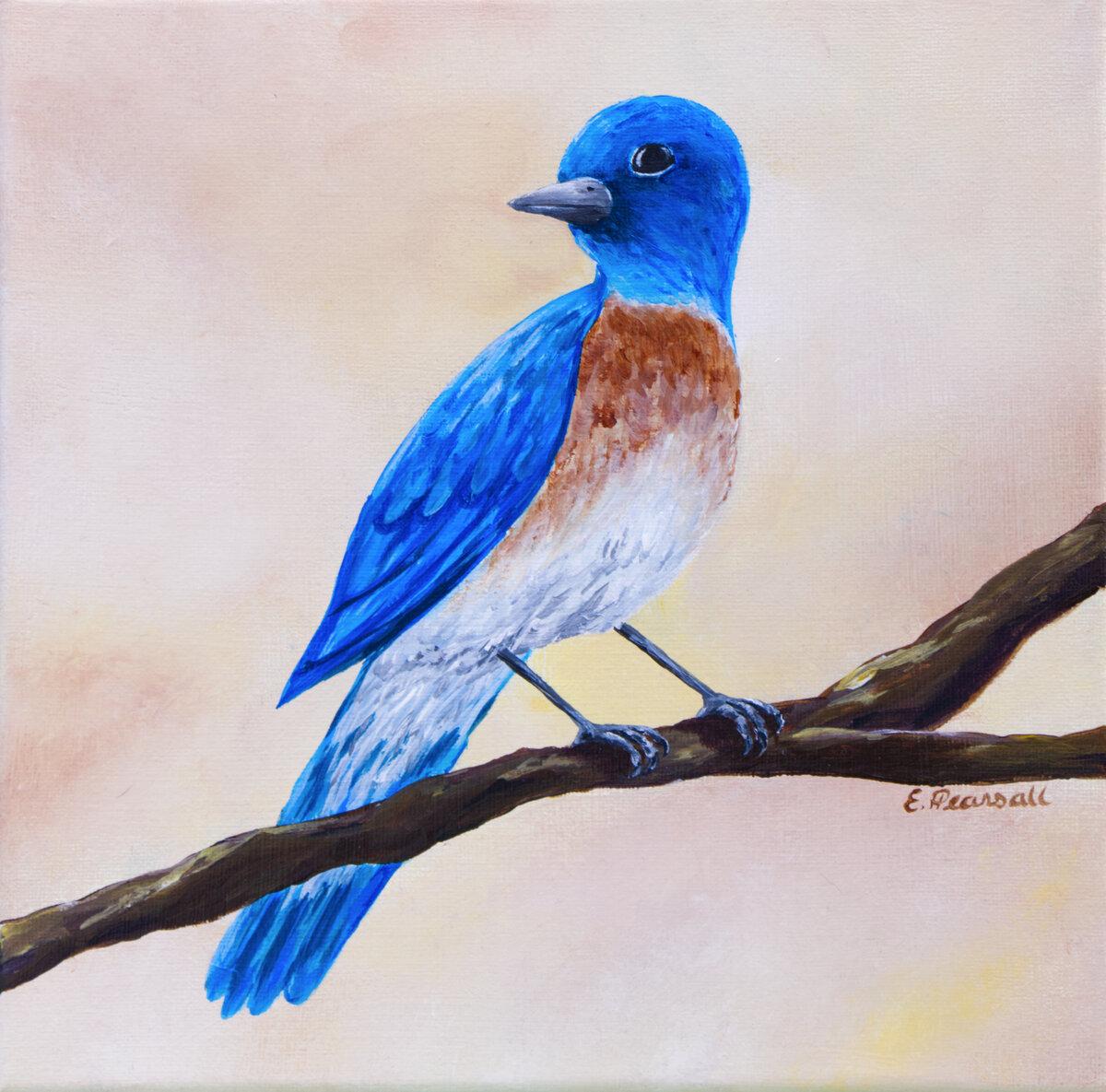 Bluebird