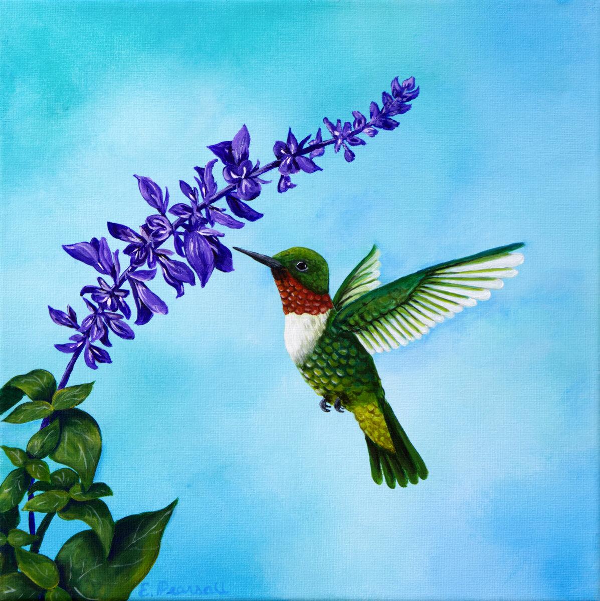 Sipping Nectar