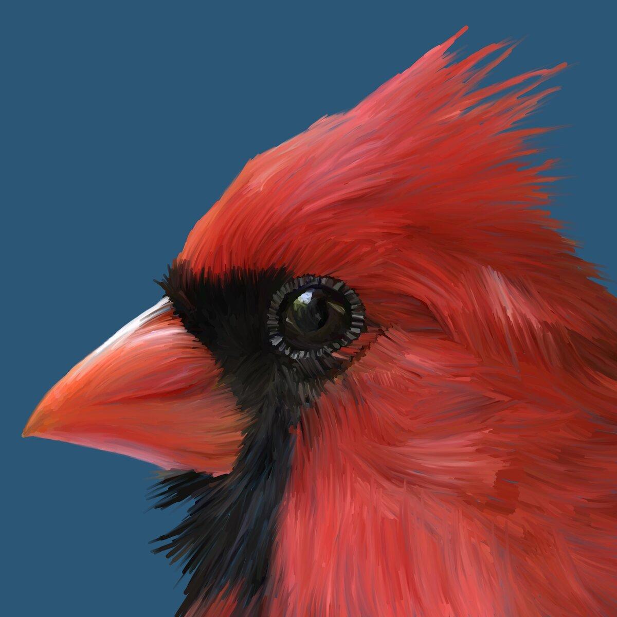 Cardinal