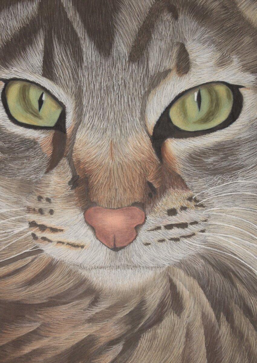 Chattie