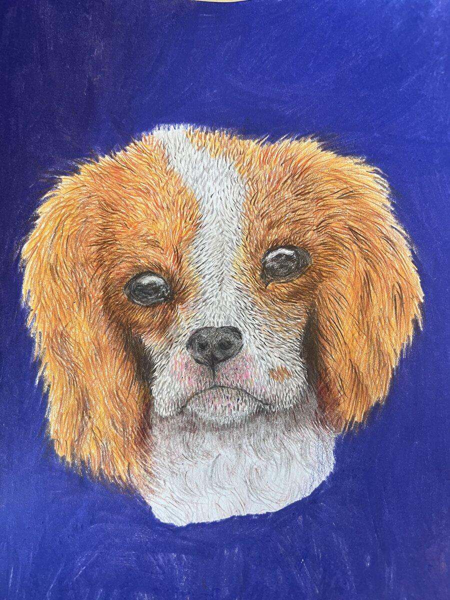 Miss Poppy