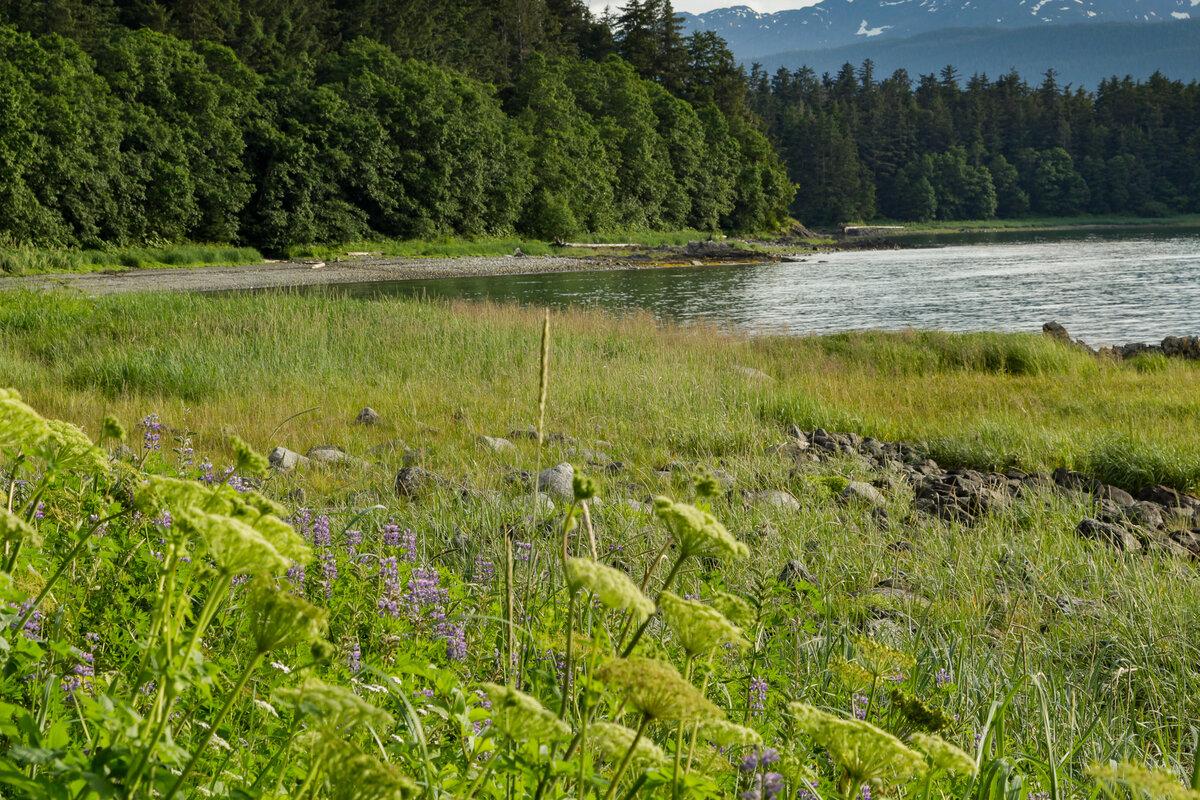 Douglas Island
