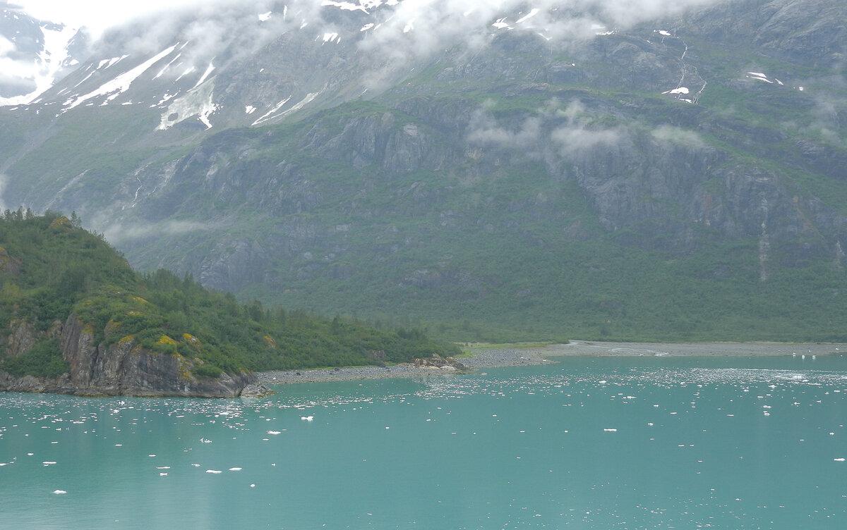 Glacier Bay Coastal Landscape