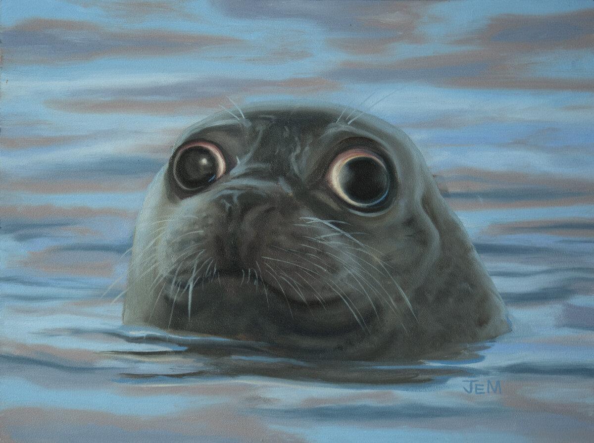 Cookie the Seal