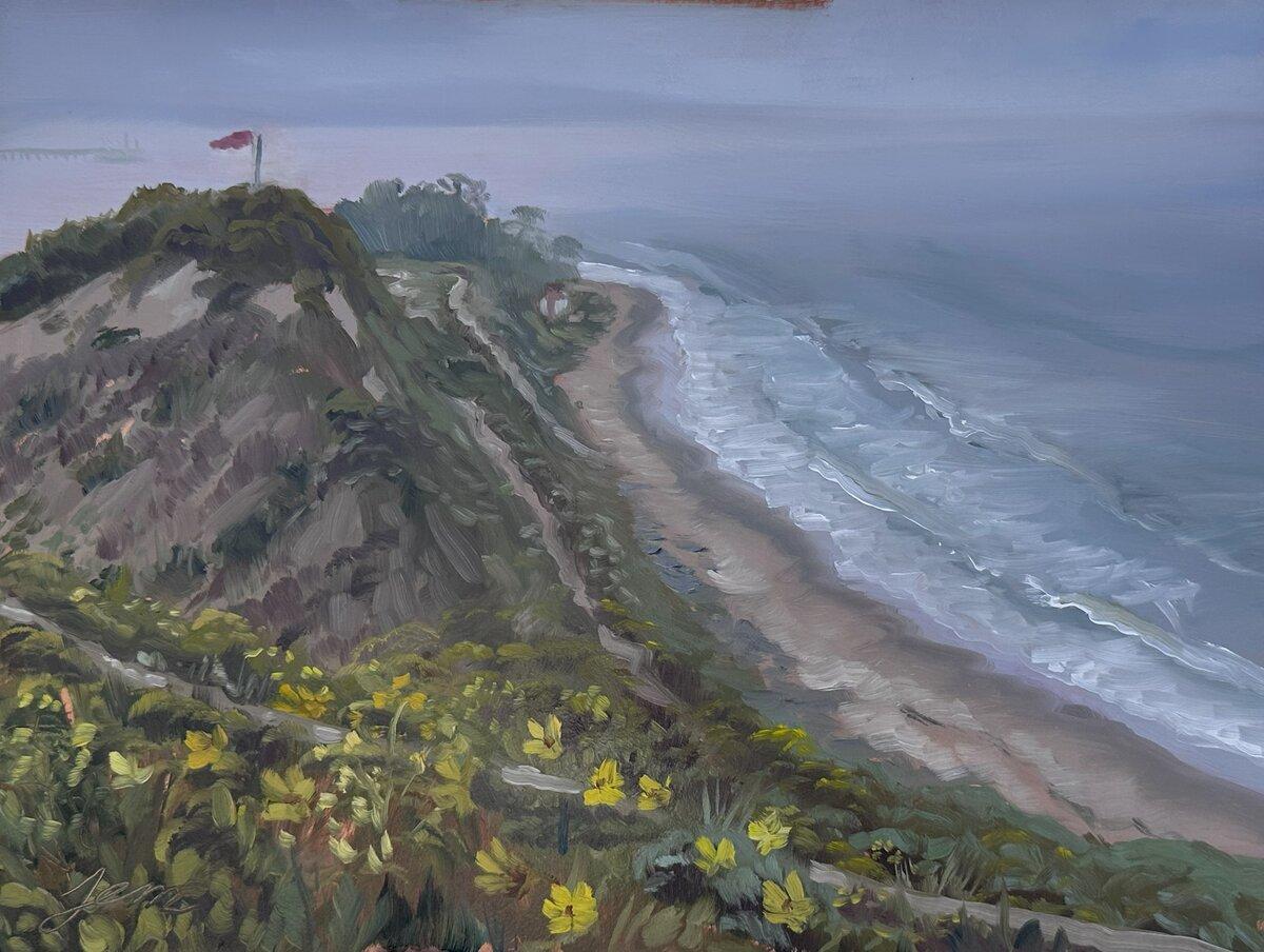 Rincon Plein Air