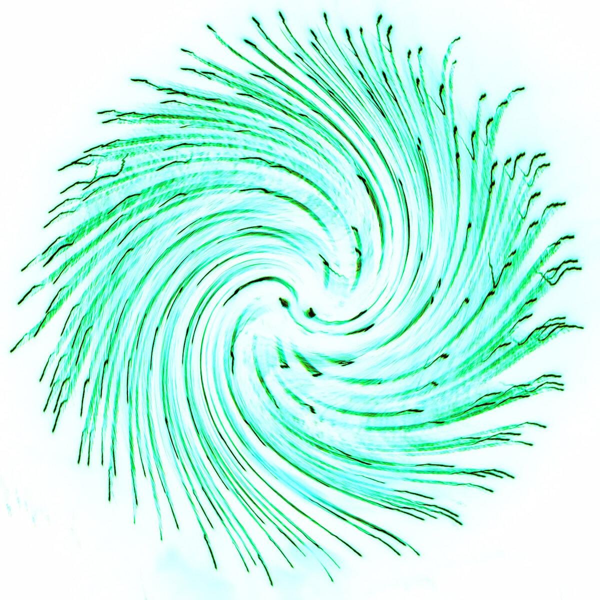 Sawblade Seafoam