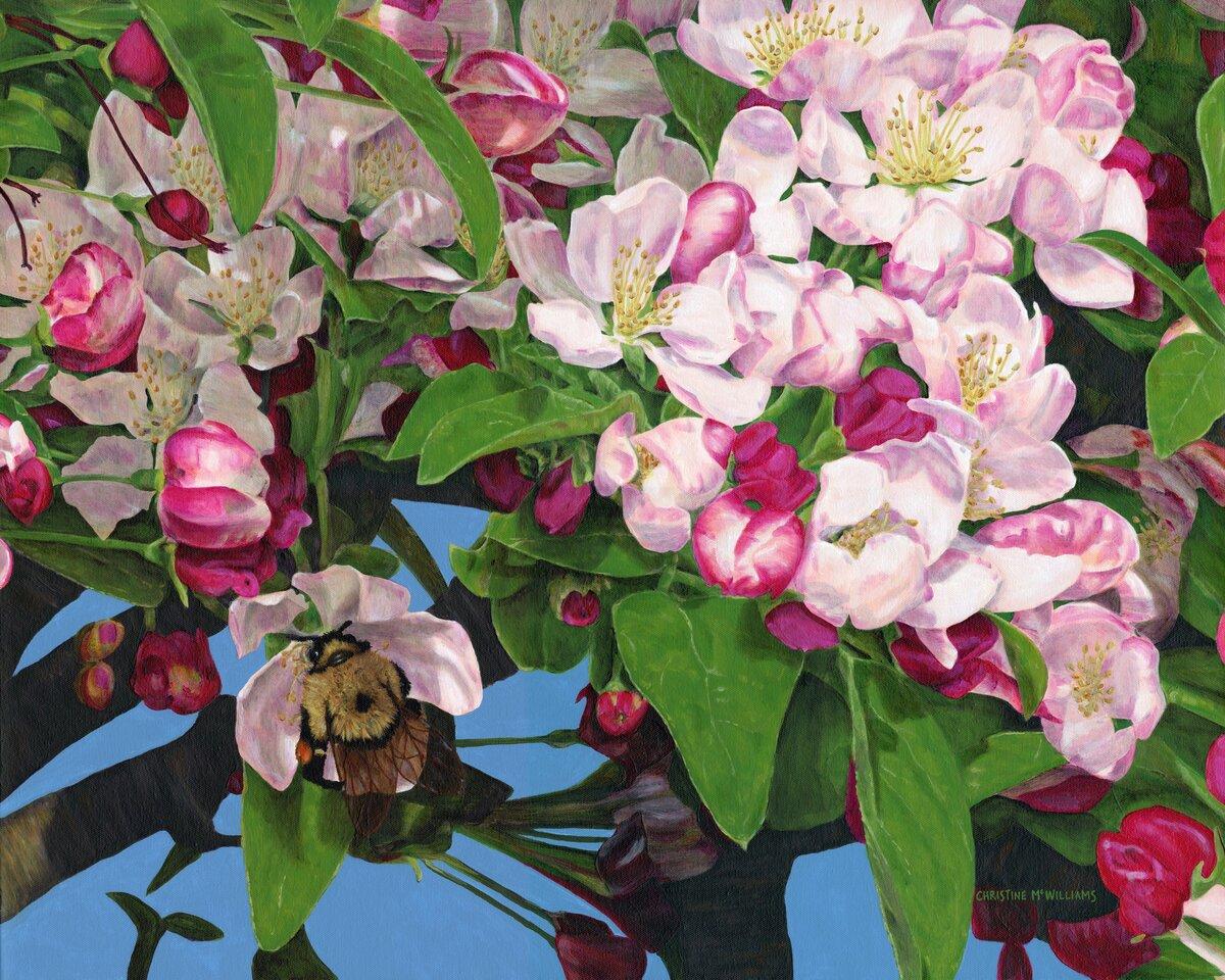 Bee and Blossoms