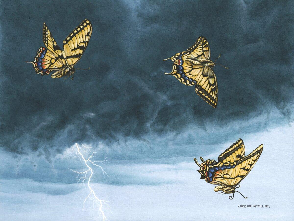 Storm Flight