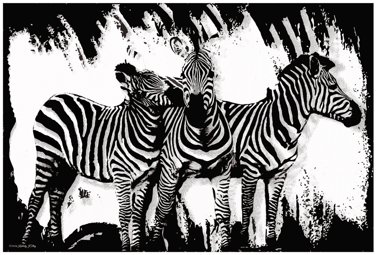 Three Zebras Painting