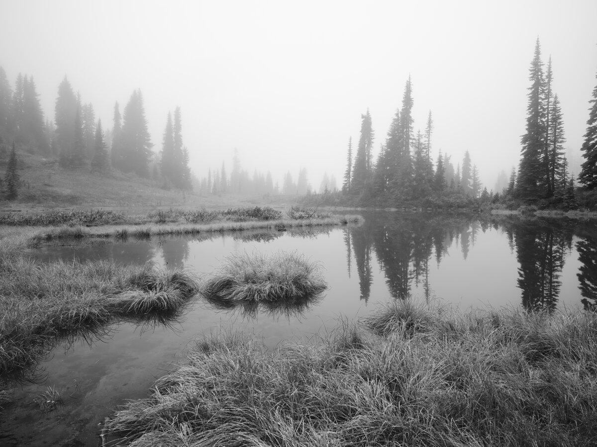 Monochrome of Little Tipsoo Lake