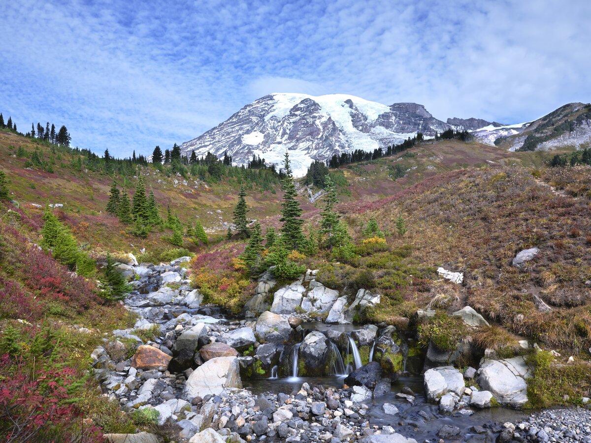 Paradise area in Autumn at Mt Rainier