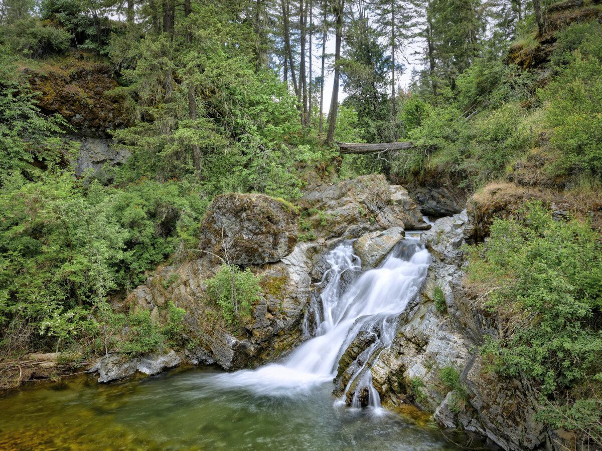 Small waterfall in a lush forest