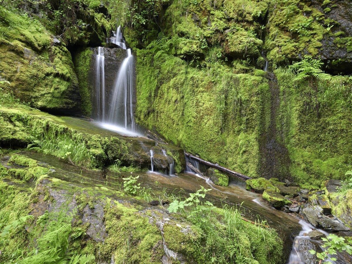 Waterfall and moss covered rocks in Idaho