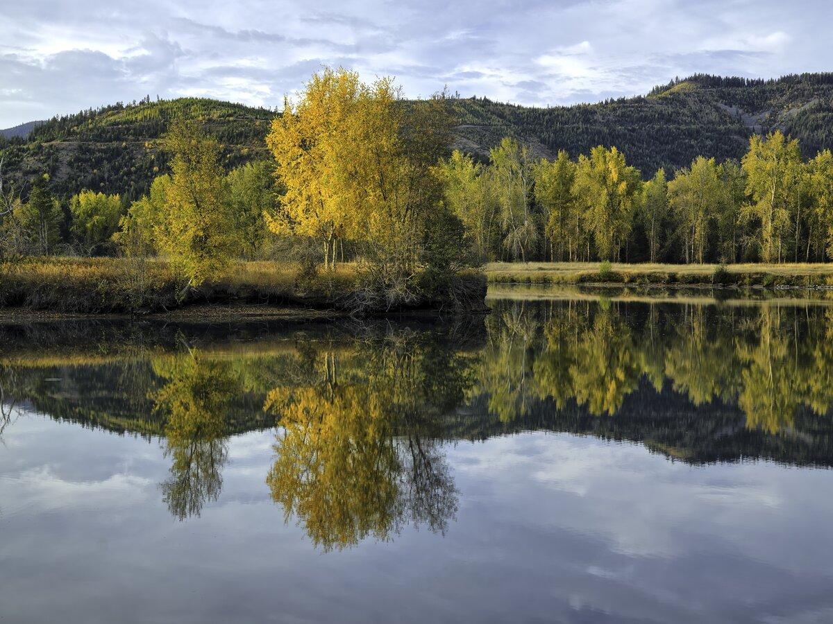 Fall colors along the Coeur d'Alene, River