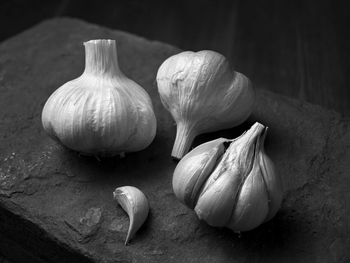 Garlic bulbs and clove on a textured rock