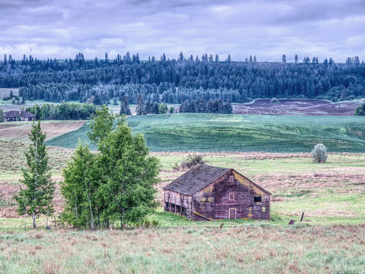 Old rust barn by trees in a valley