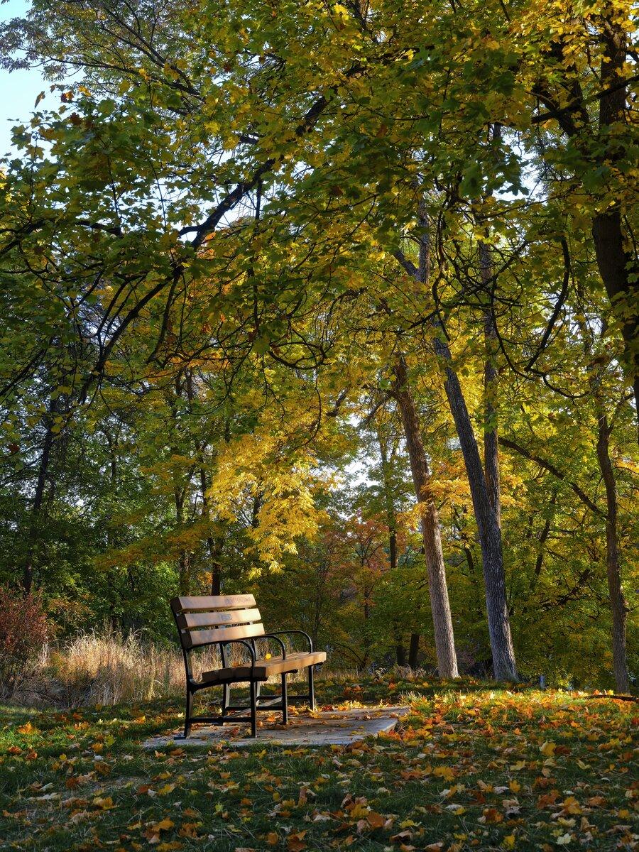 Park bench in autumn