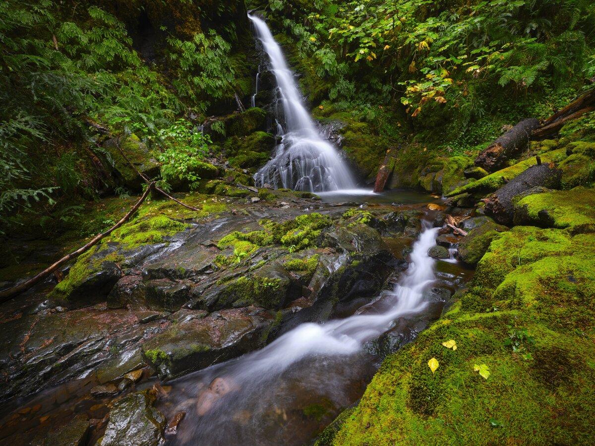 Scenic Skate Creek Falls in Washington