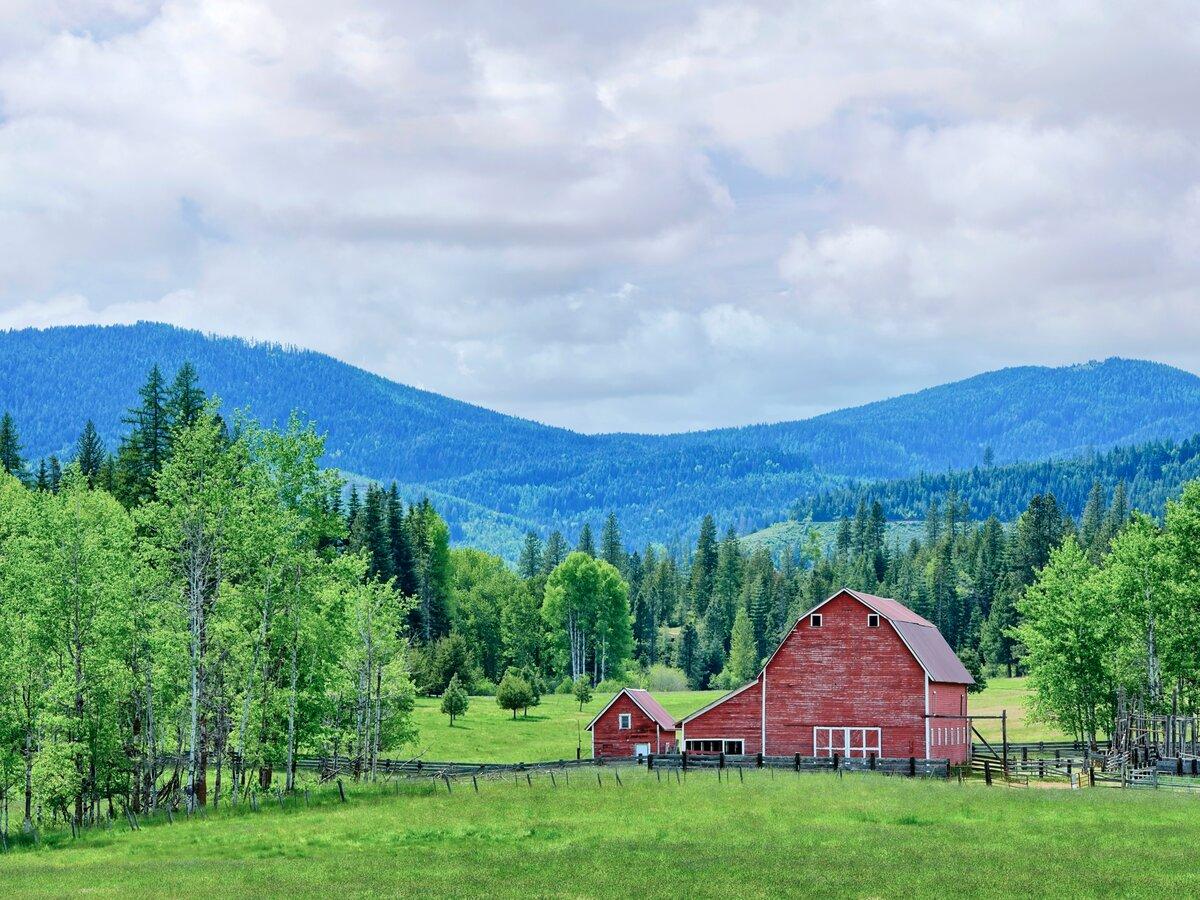 Rural landscape of red barn in a green field