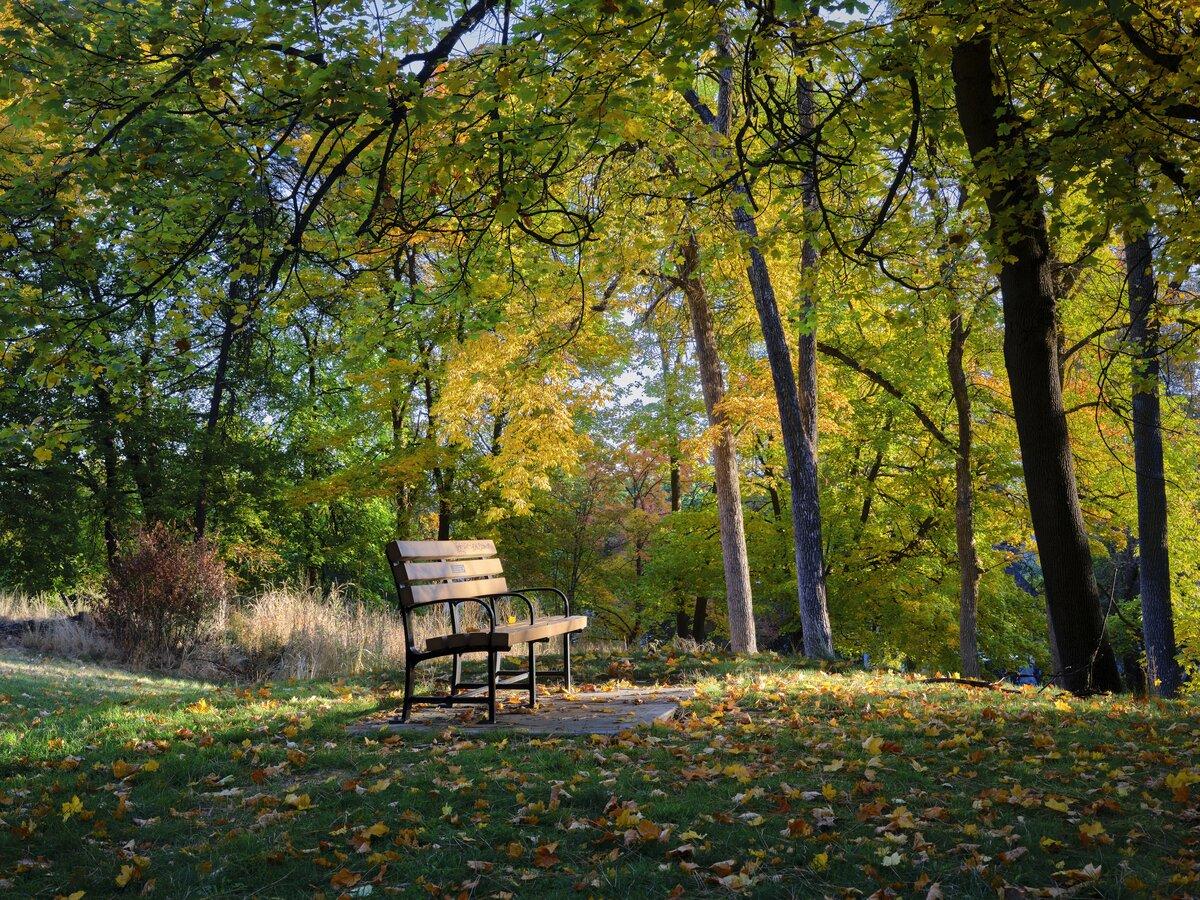 Empty park bench on an autumn day