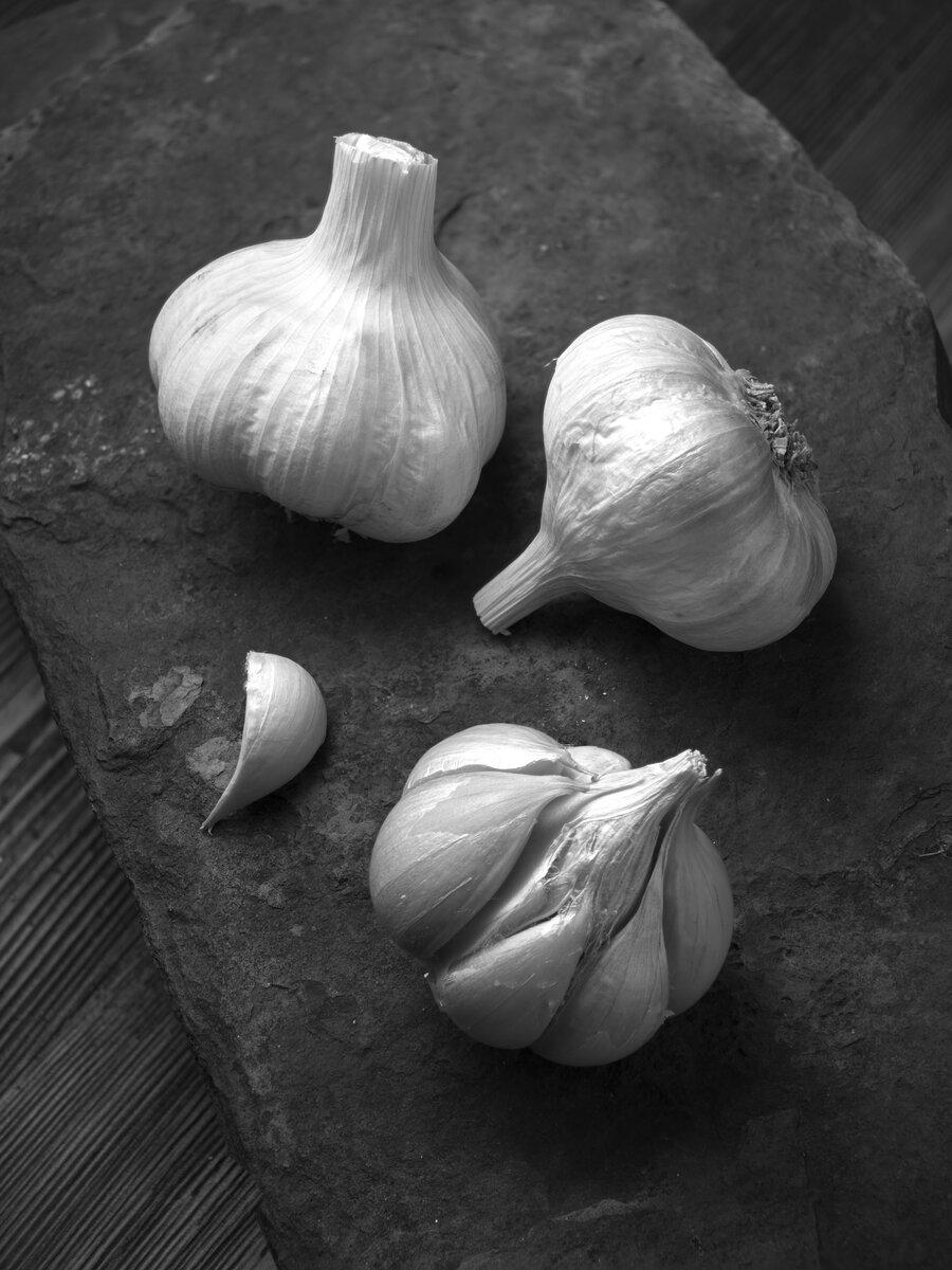 Studio photo of garlic clove and bulbs