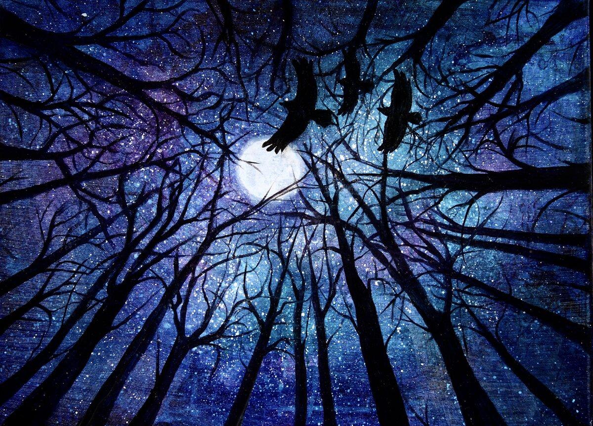 Midnight Flight