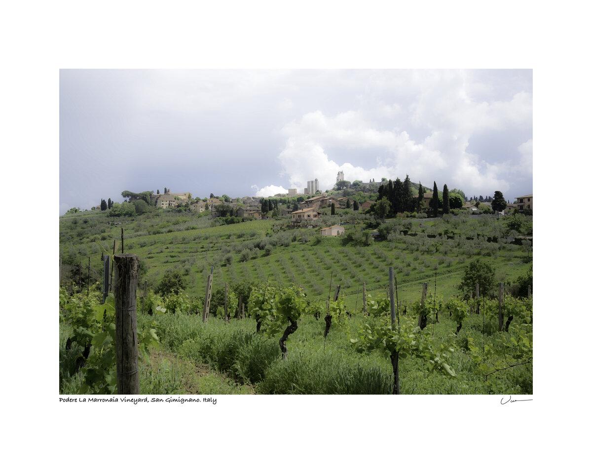 Podere La Marronaia Vineyard