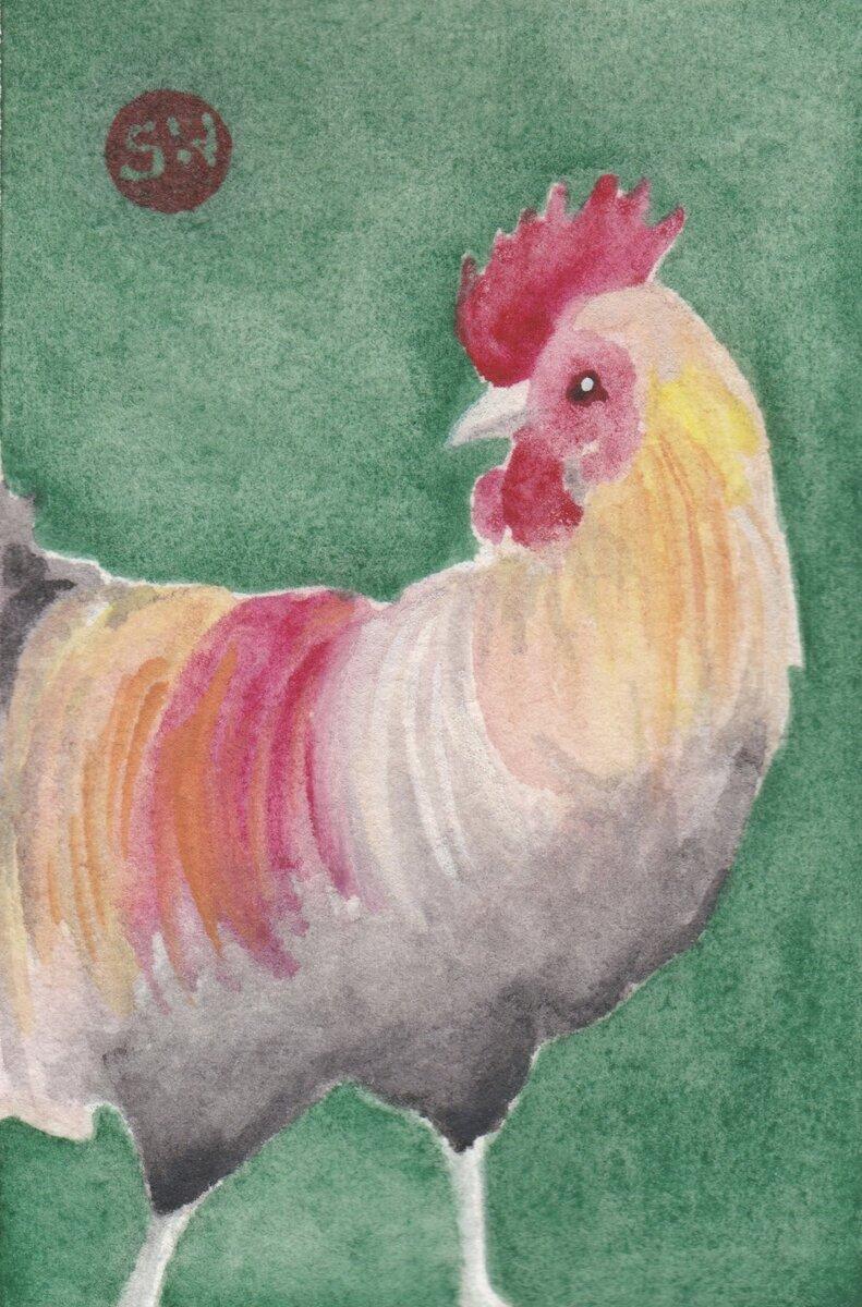 Hawaiian Rooster