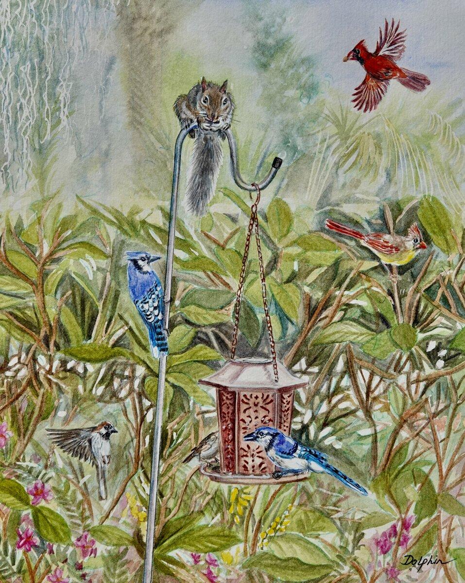 Garden Birds
