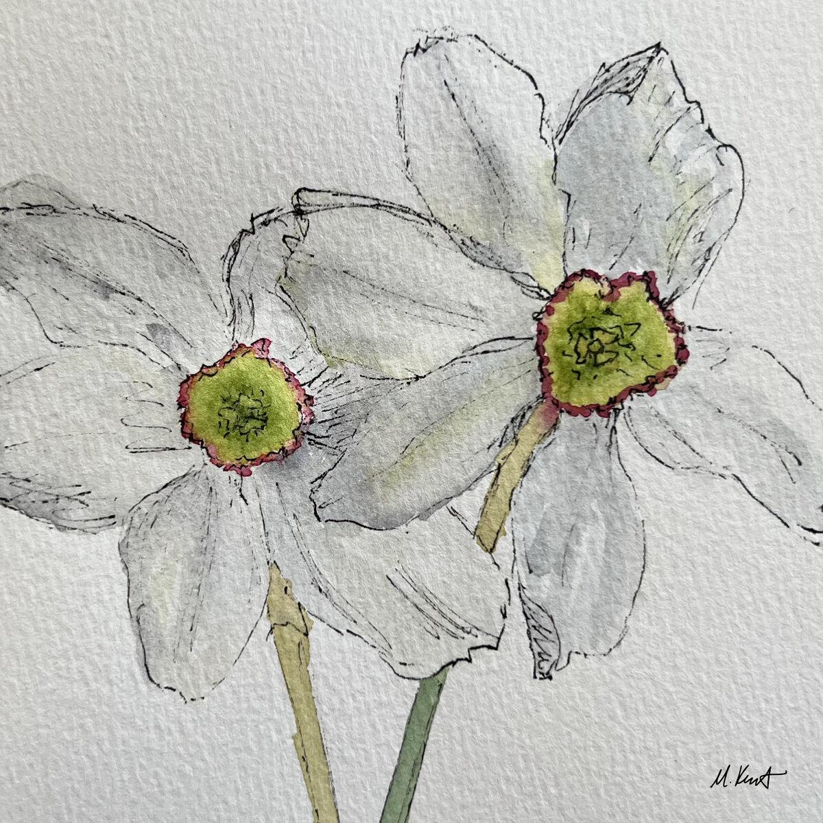 White Daffodils